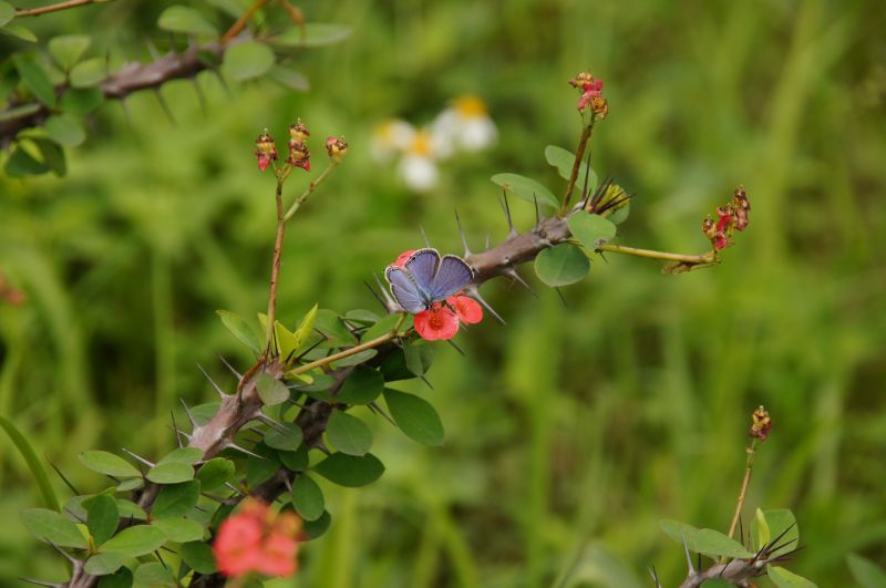 Viewing photos→2013→2013-04-06→099