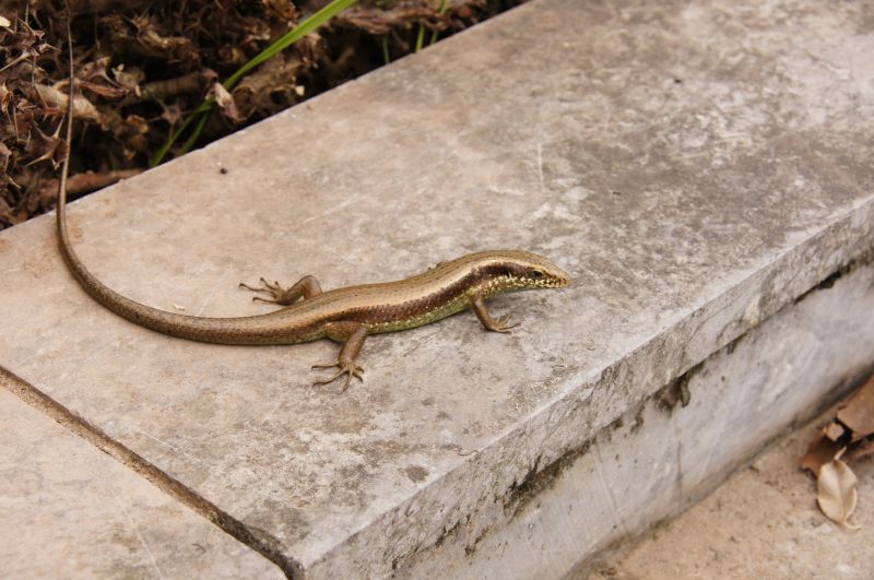 Viewing photos→2013→2013-04-06→100