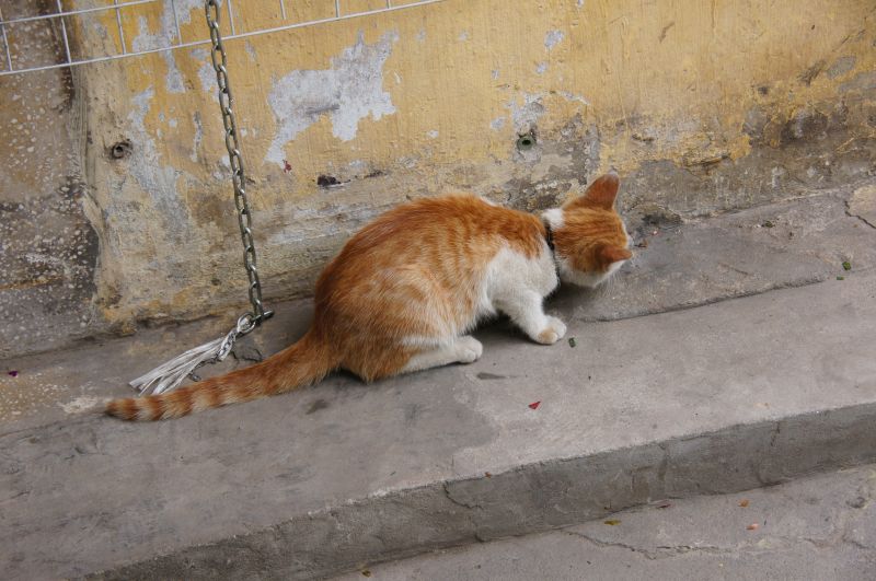 Viewing photos→2013→2013-04-06→106