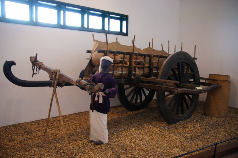 Viewing photos→2013→2013-04-06→125