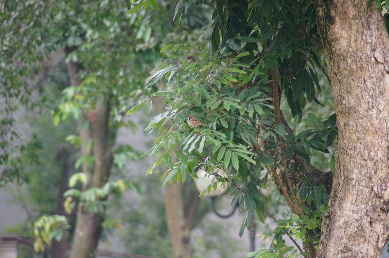 Viewing photos→2013→2013-04-06→187