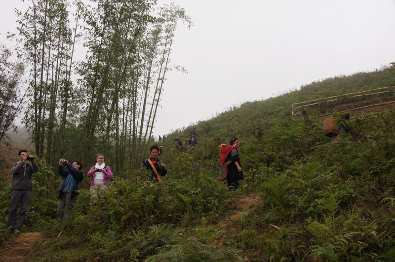 Viewing photos→2013→2013-04-09→03