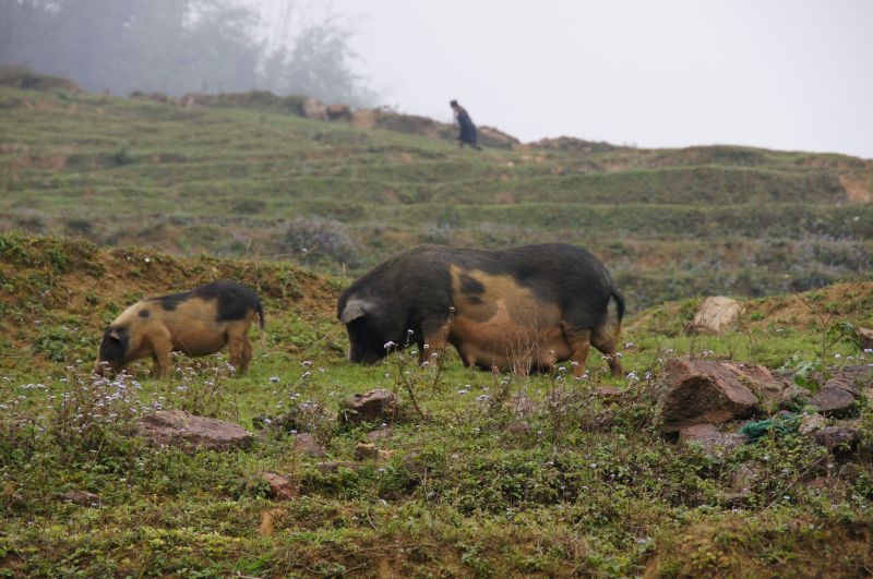 Viewing photos→2013→2013-04-09→21