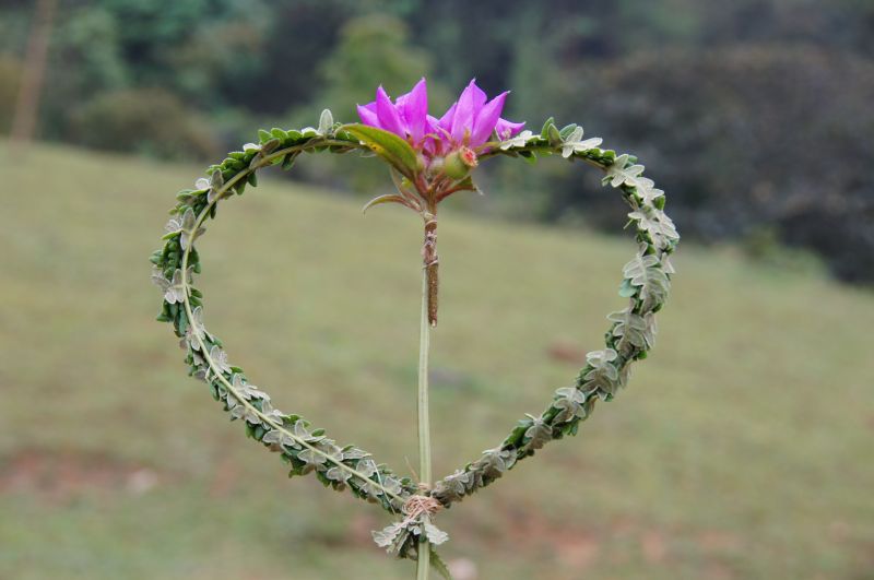 Viewing photos→2013→2013-04-09→25