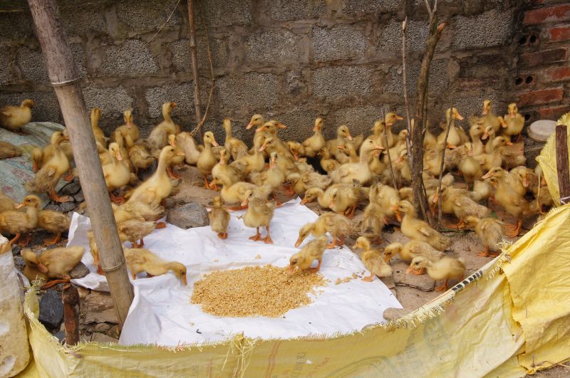 Viewing photos→2013→2013-04-09→61