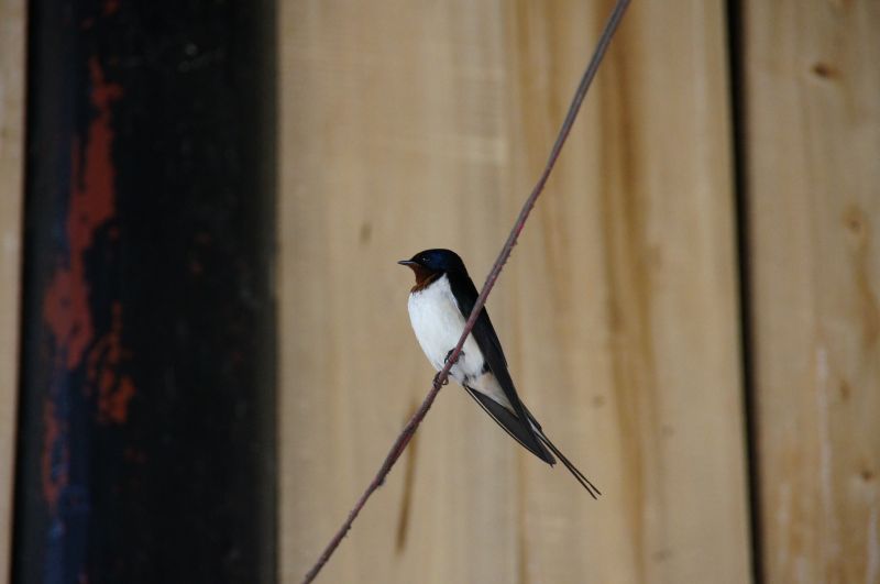 Viewing photos→2013→2013-04-09→67