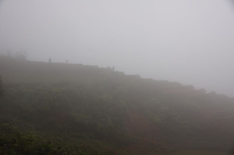 Viewing photos→2013→2013-04-09→69