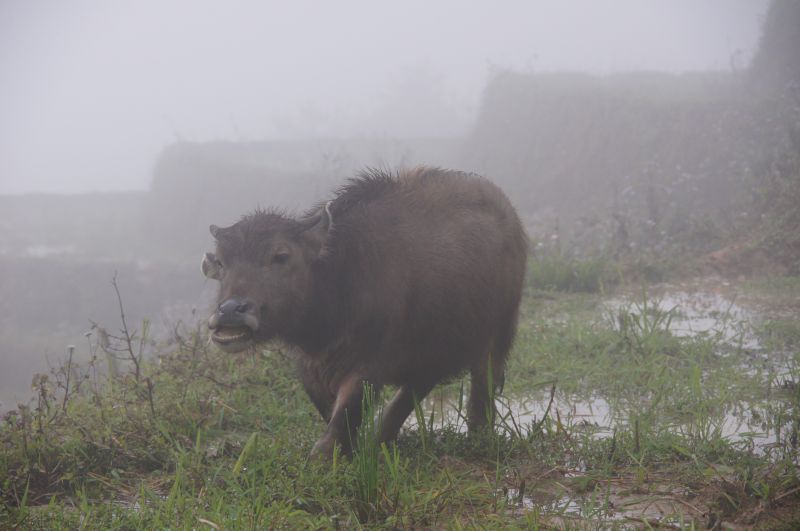 Viewing photos→2013→2013-04-09→73