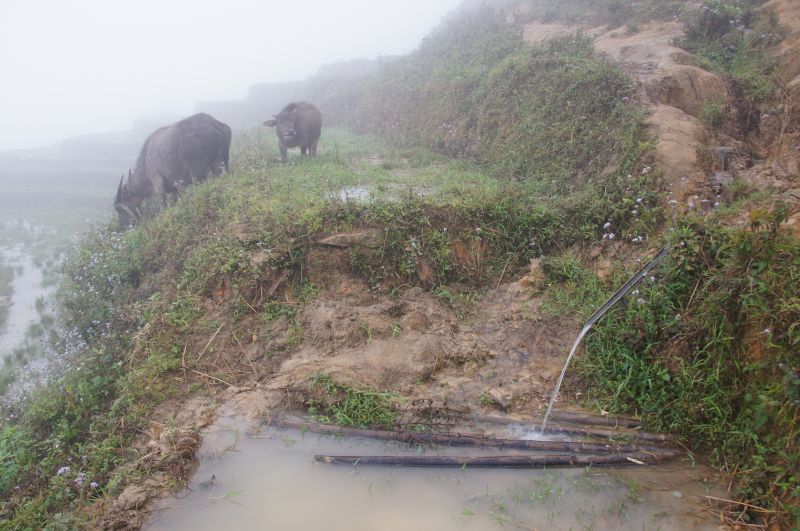 Viewing photos→2013→2013-04-09→74