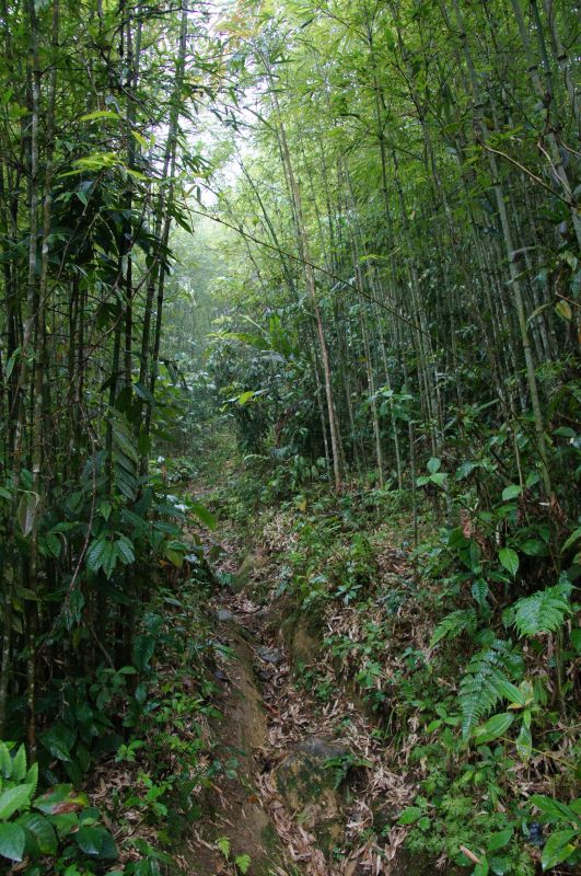 Viewing photos→2013→2013-04-09→76