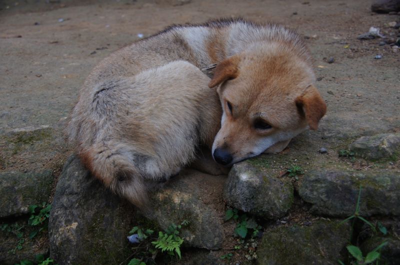 Viewing photos→2013→2013-04-09→84