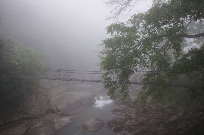 Viewing photos→2013→2013-04-09→87