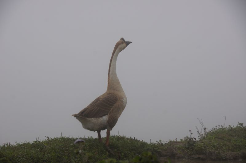 Viewing photos→2013→2013-04-09→88