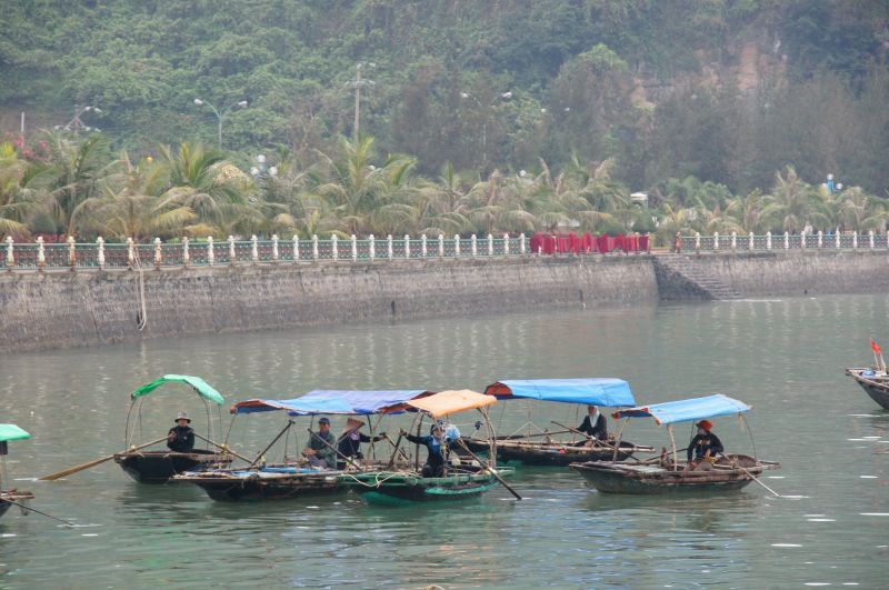 Viewing photos→2013→2013-04-11→05