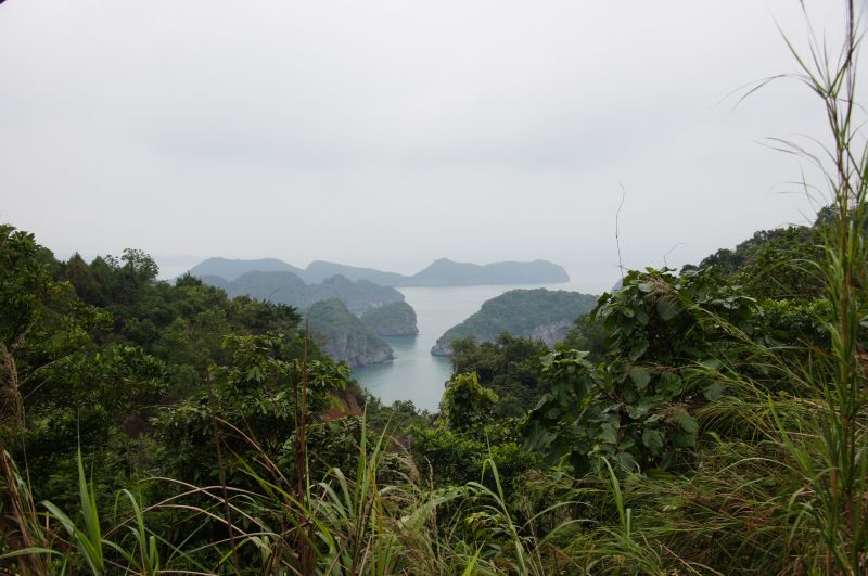 Viewing photos→2013→2013-04-11→10