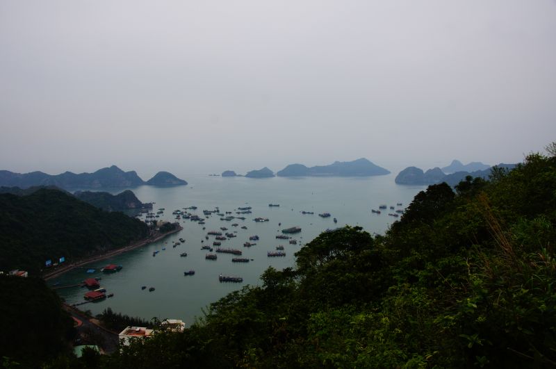 Viewing photos→2013→2013-04-11→26