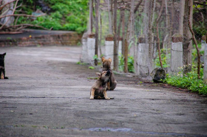 Viewing photos→2013→2013-04-11→33