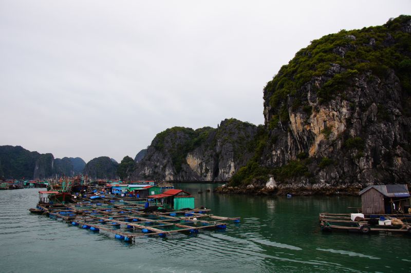 Viewing photos→2013→2013-04-11→44