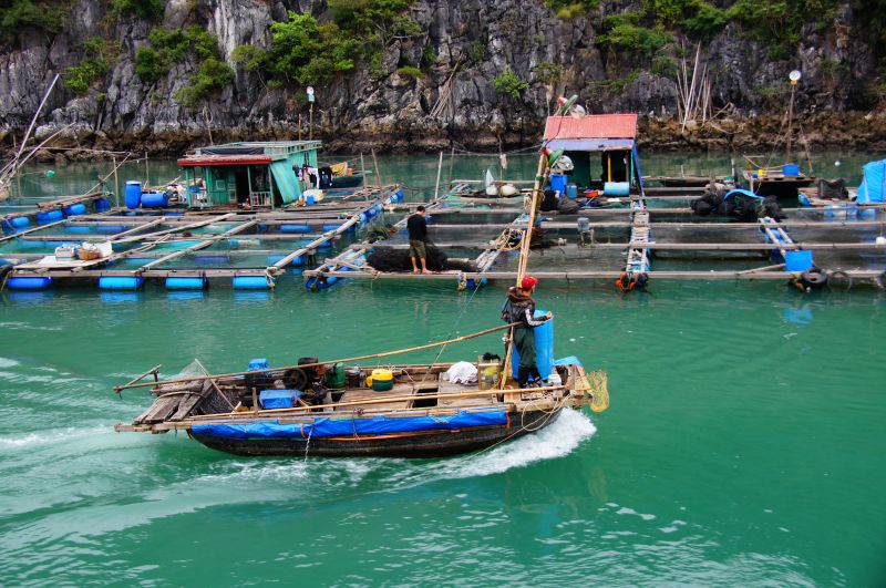 Viewing photos→2013→2013-04-11→47