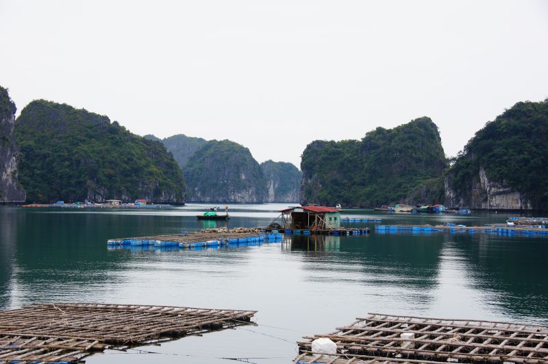 Viewing photos→2013→2013-04-11→70