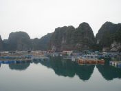 72.jpg - 2013:04:12 06:42:39