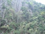 79.jpg - 2013:04:12 07:47:29