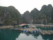 94.jpg - 2013:04:12 09:24:20