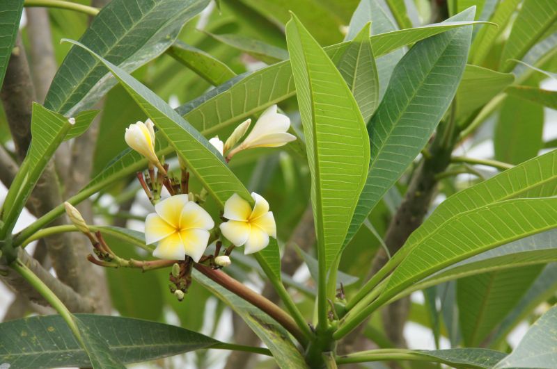 Viewing photos→2013→2013-04-14→23