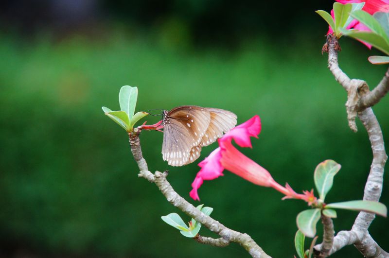 Viewing photos→2013→2013-04-14→53