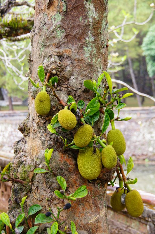 Viewing photos→2013→2013-04-14→60