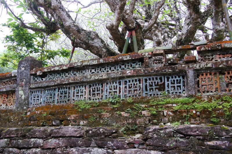 Viewing photos→2013→2013-04-14→83