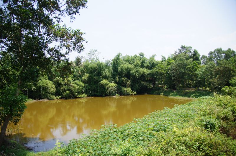 Viewing photos→2013→2013-04-16-1→03