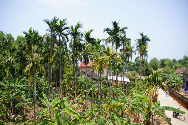 Viewing photos→2013→2013-04-16-1→04