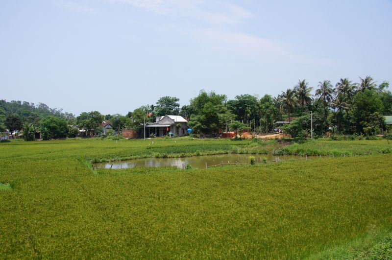 Viewing photos→2013→2013-04-16-1→08