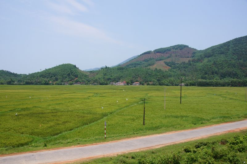 Viewing photos→2013→2013-04-16-1→10