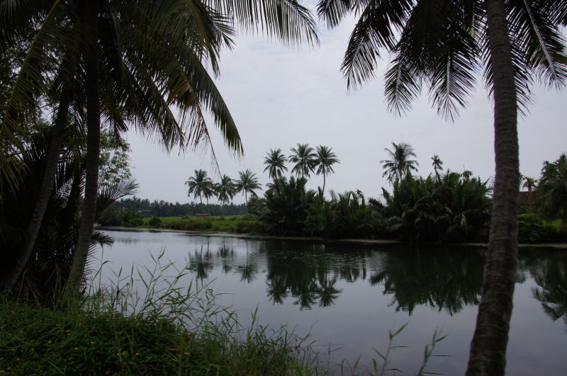 Viewing photos→2013→2013-04-16-2→10