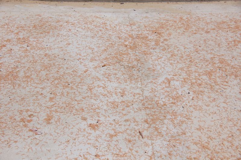 Viewing photos→2013→2013-04-16-2→26