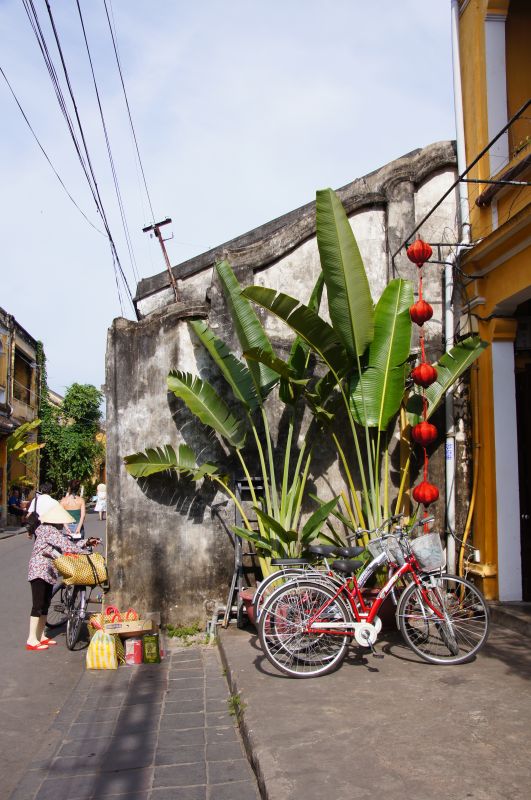 Viewing photos→2013→2013-04-16-2→86