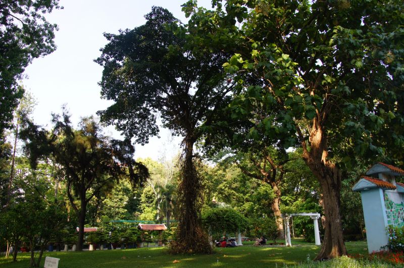 Viewing photos→2013→2013-04-21→72