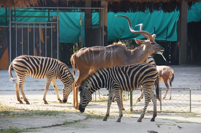 Viewing photos→2013→2013-04-21→77