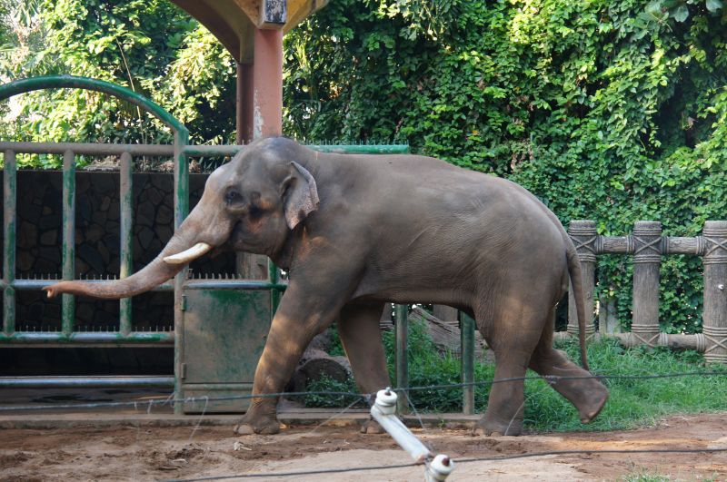 Viewing photos→2013→2013-04-21→81