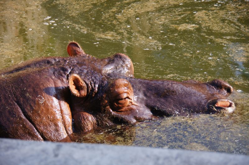 Viewing photos→2013→2013-04-21→83