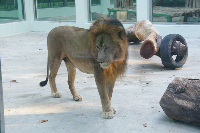 Viewing photos→2013→2013-04-21→85