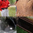 2013-04-22<br/>
<b>Củ Chi Tunnels</b>
