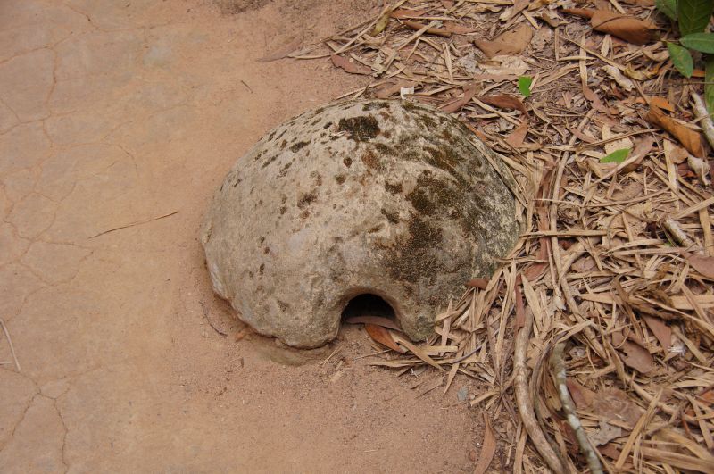 Viewing photos→2013→2013-04-22→02