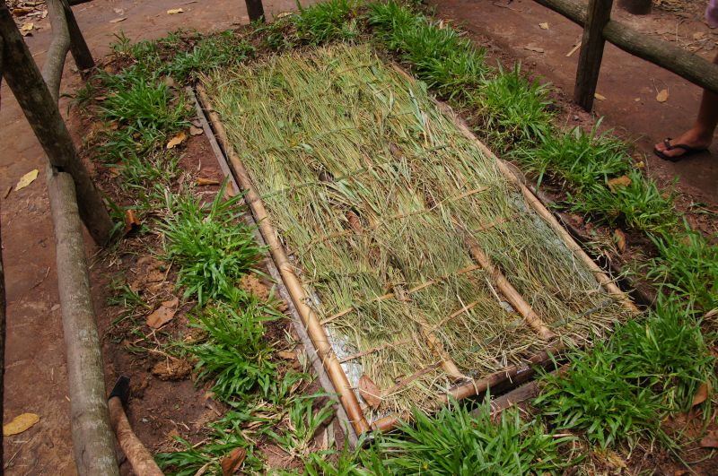 Viewing photos→2013→2013-04-22→10