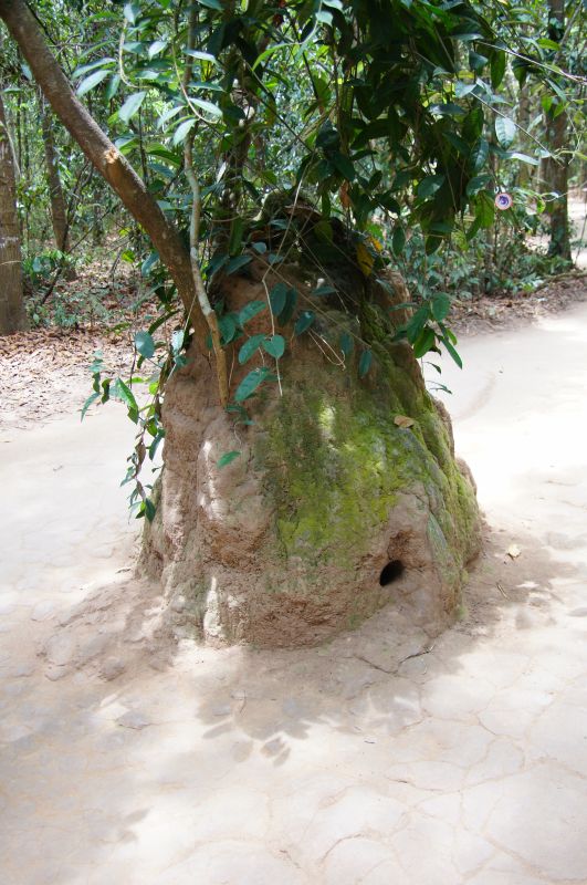 Viewing photos→2013→2013-04-22→14