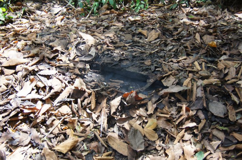 Viewing photos→2013→2013-04-22→24