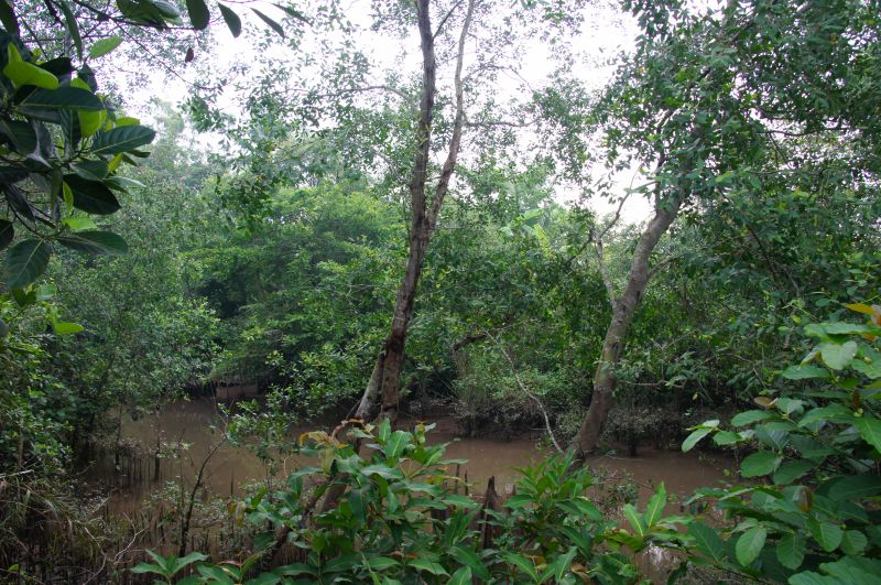 Viewing photos→2013→2013-04-23→48