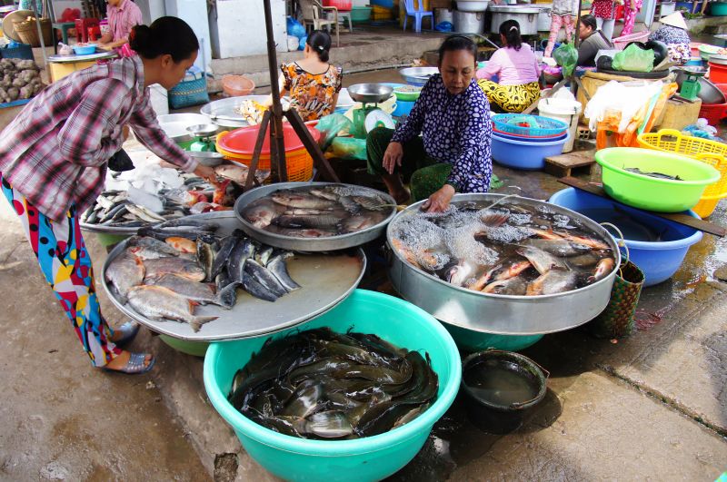 Viewing photos→2013→2013-04-23→84